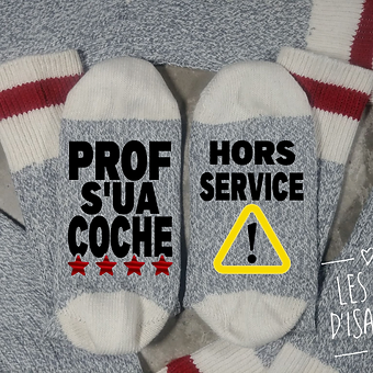 PROF S'UA COCHE HORS SERVICE - lesbasdisabelle.com